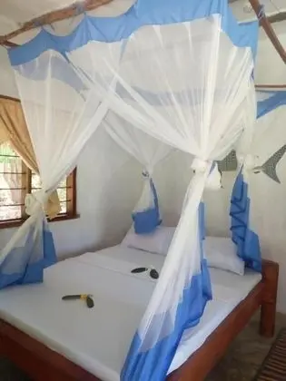 Mangrove beach bungalows