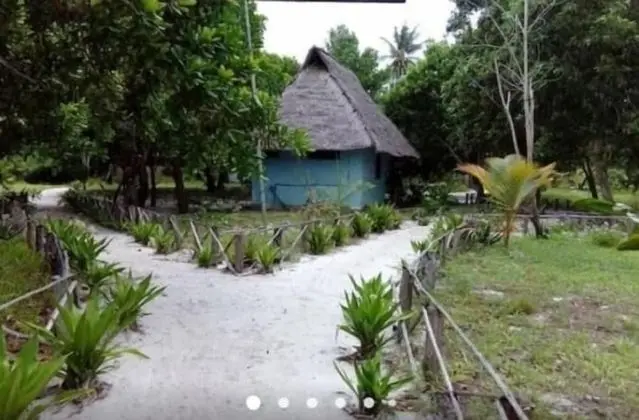 Mangrove beach bungalows