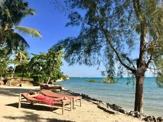 Mangrove Lodge