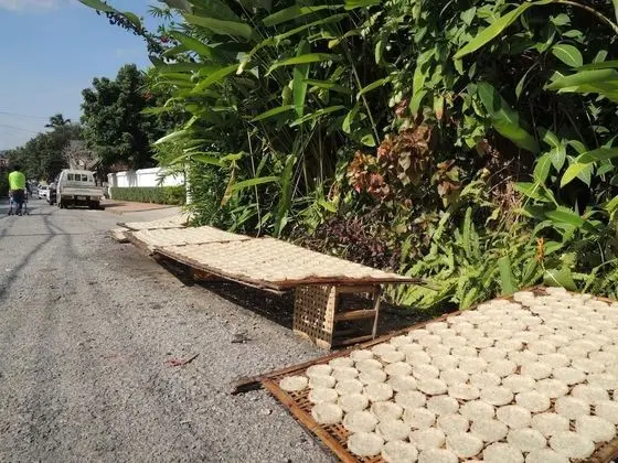 Mani Home & Hostel Luang Prabang - Dış Mekan