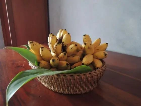 Mani Home & Hostel Luang Prabang - Yerinde Yemek