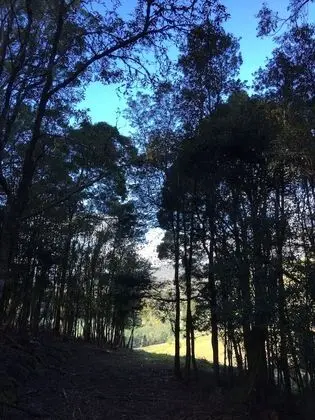 Manna Hill Farm - Dış Mekan