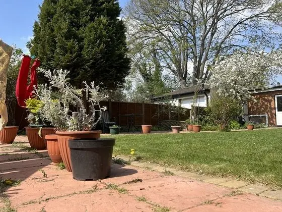 Manns Guest House - Oda Düzeni