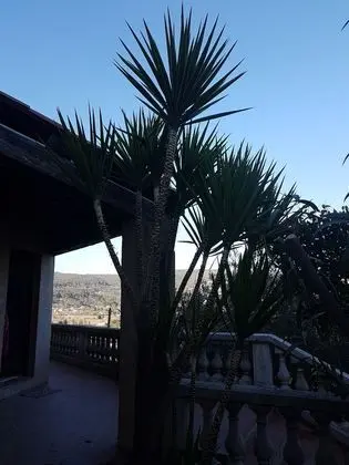 Villa Manoé - Dış Mekan