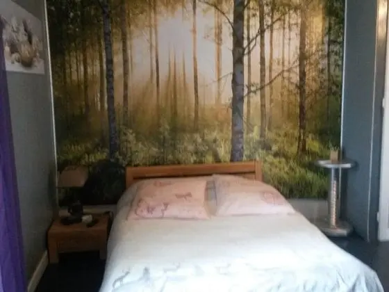 Manoir de Condé B&B Spa - Oda