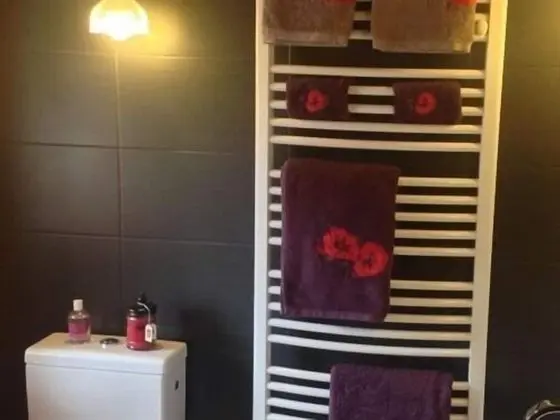 Manoir de La Rogerais & SPA - Banyo Tipleri