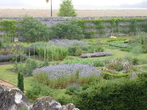 Manoir du Plessis au Bois - Oda Manzaraları