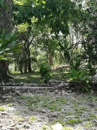 Manuel Antonio Comfort Casa Macaow - Mülk Olanakları