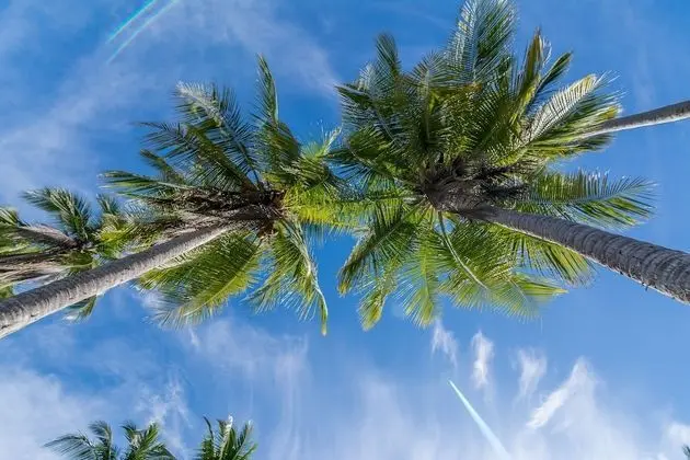 Hotel Manuel Antonio - Dış Mekan