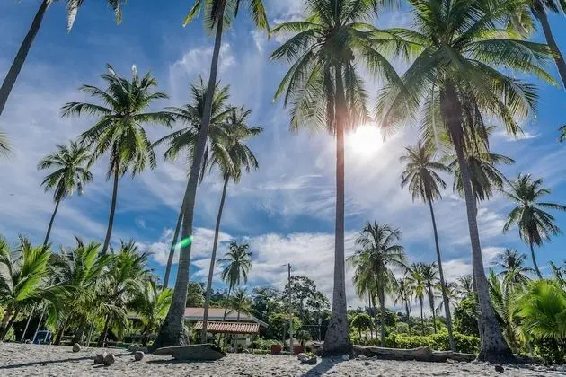 Hotel Manuel Antonio - Plaj