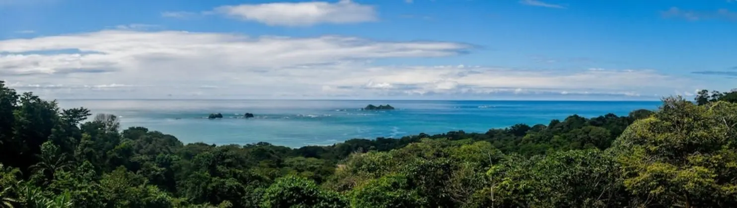 Many's House - La Joya De Ballena