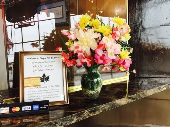 Maple Inn & Suites - Lobi