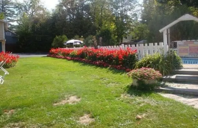 Maple Leaf Inn - Lake Placid - Havuz