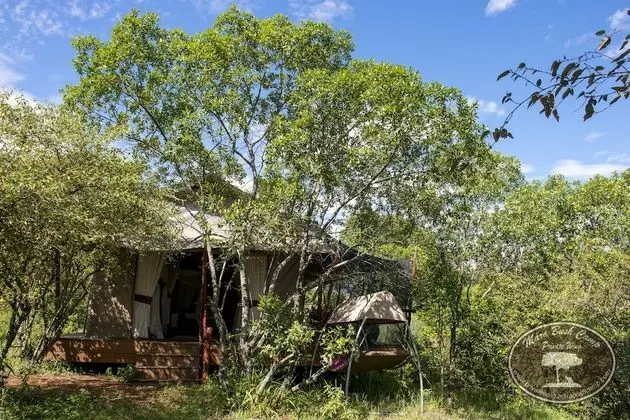 Mara Bush Camp - Private Wing
