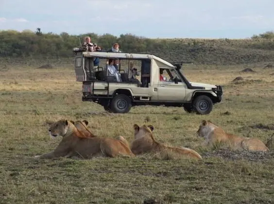 Mara Eden Safari Camp
