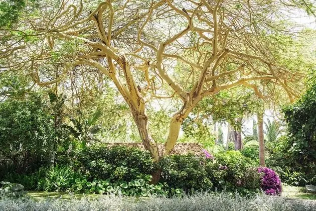 Marbella Club Hotel Golf Resort & Spa - Dış Mekan