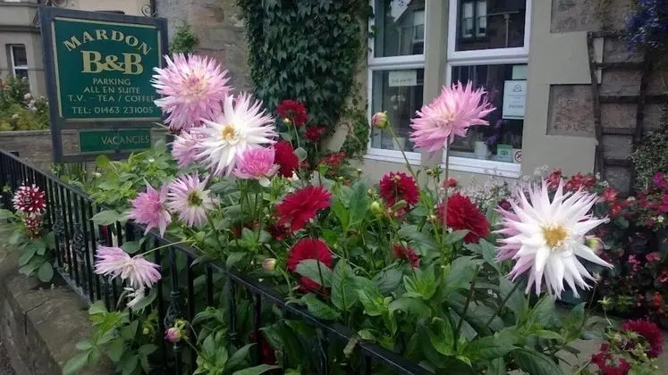 Mardon Guest House - Dış Mekan