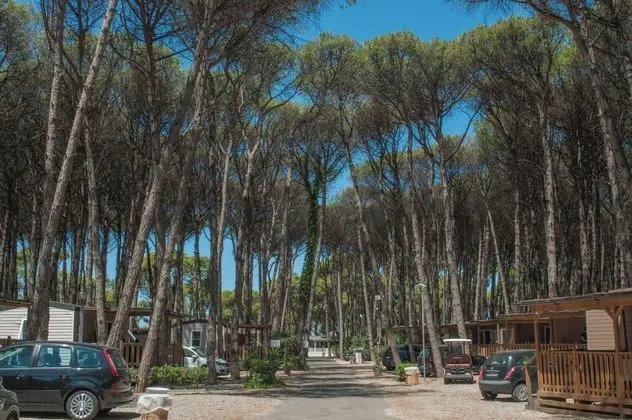 Mare Pineta Camping - Öne Çıkan Resim