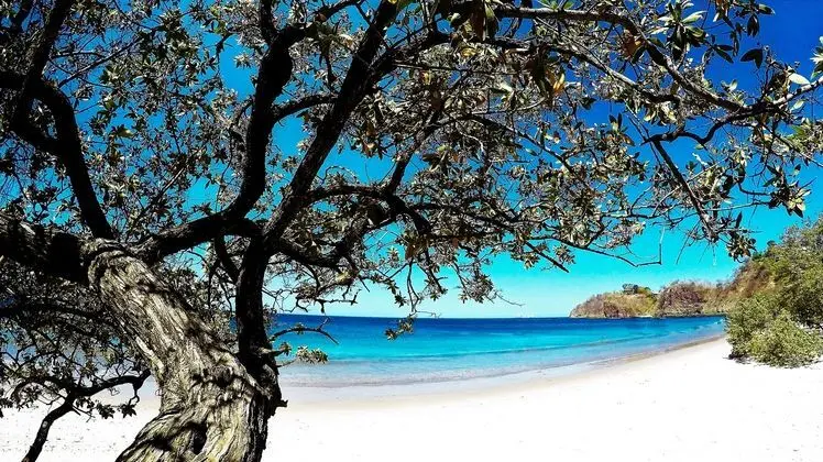 Margaritaville Beach Resort Flamingo Beach - Plaj