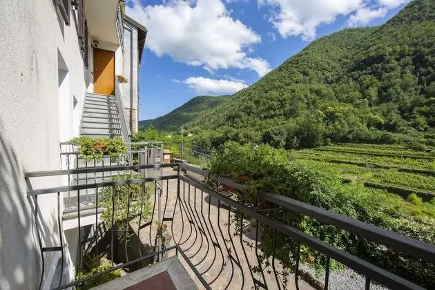 Margherita Among Vineyards