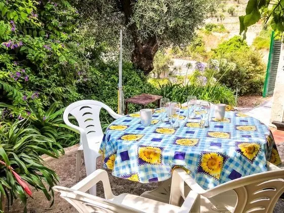 Margherita Latte in Latte