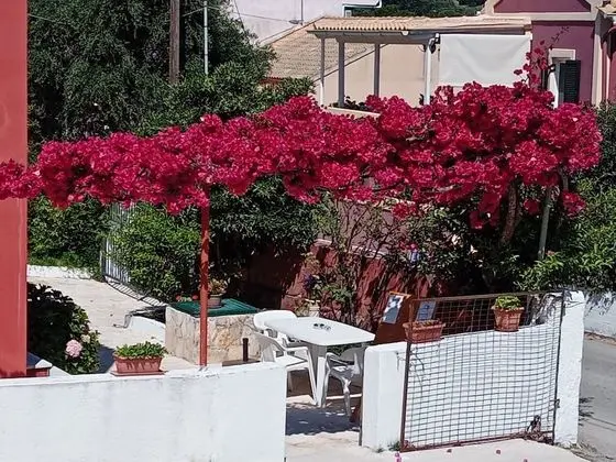 Maria Apartments - İç Mekan