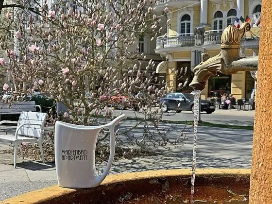 Marienbad Apartment - Dış Mekan
