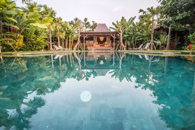 Marika Sawah Villas-4Bedroom Private Pool - Havuz