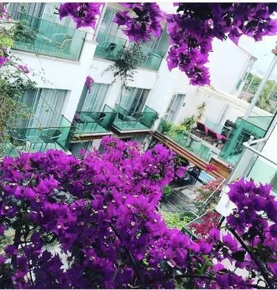 Marin-A Hotel - Genel