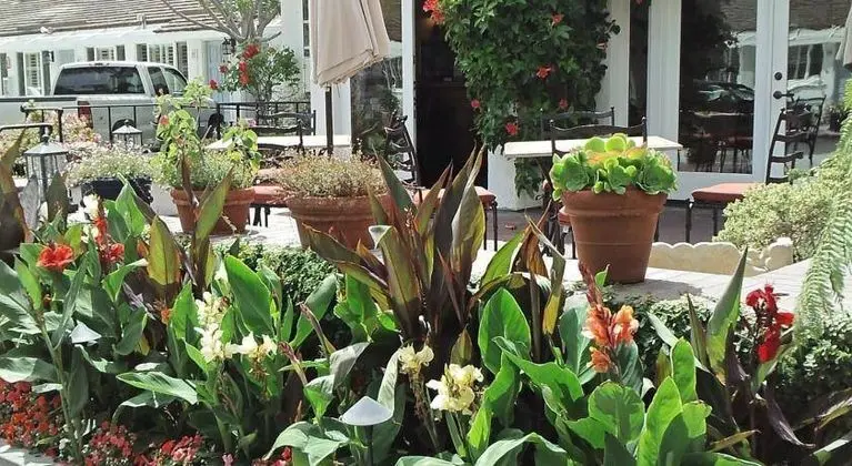 Marina Beach Hotel