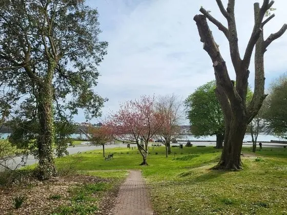 Marina Reach Neyland, Flat With Great sea Views - Dış Mekan