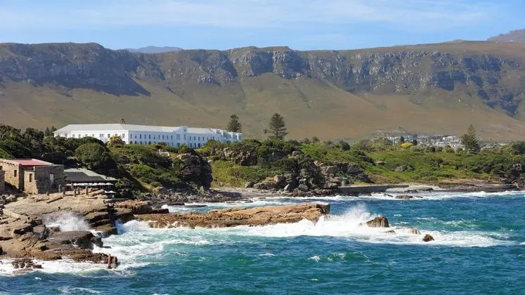 The Marine Hermanus - Öne Çıkan Resim