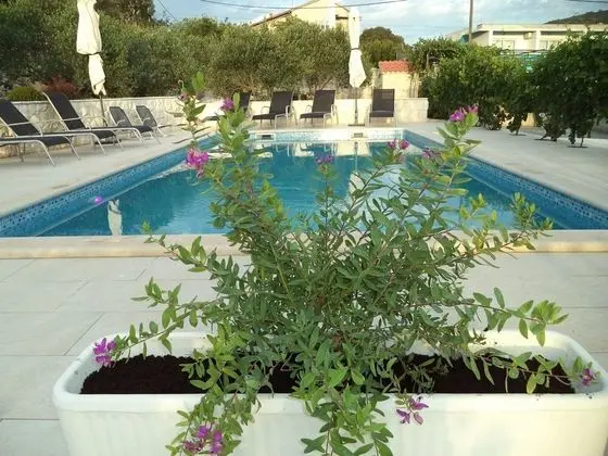 Mario - Apartment With Pool - A1 - Havuz