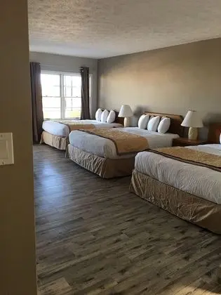 Marion Motor Lodge - Oda