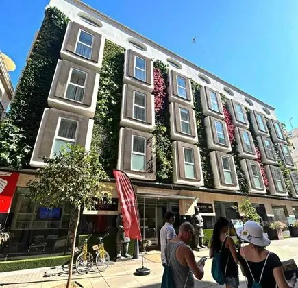 Hotel Mariposa - Dış Mekan