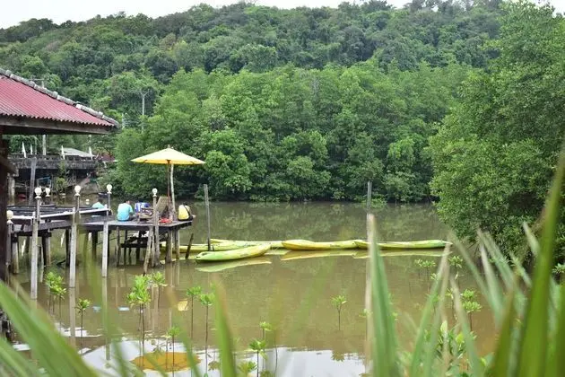 Mark House Bungalow - Genel