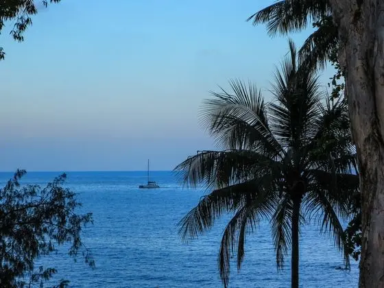 Marlin Waters Beachfront Apartments