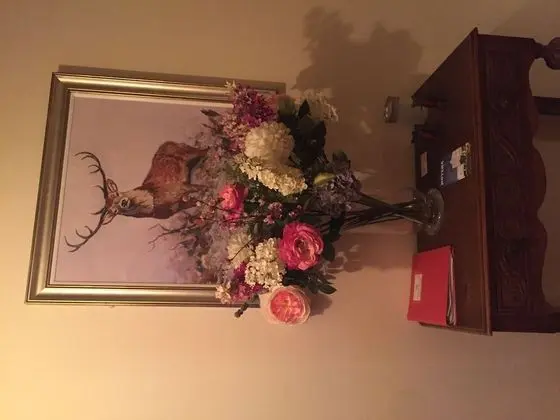 Marnic House B&B - Lobi