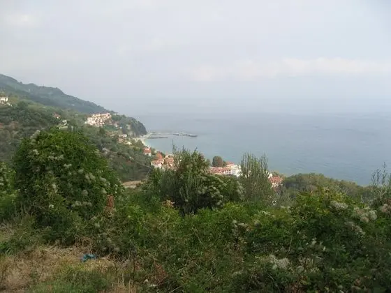 Hotel Maro - Genel