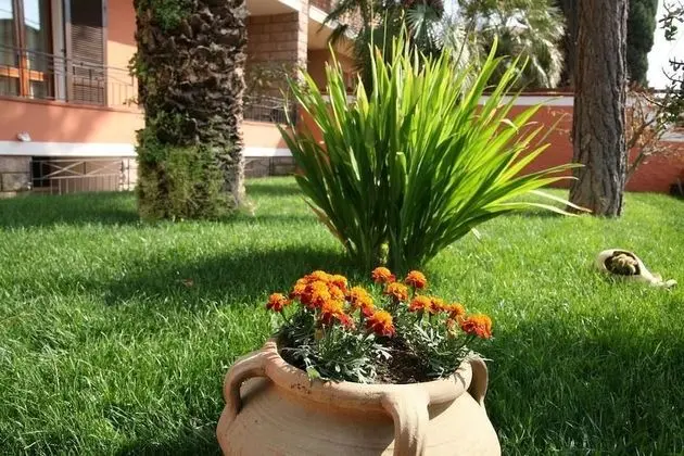 Villa Marogna Rooms and Breakfast - Dış Mekan
