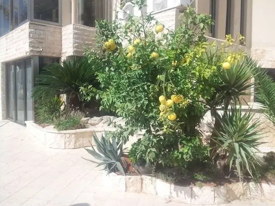 Marom Residence Romema