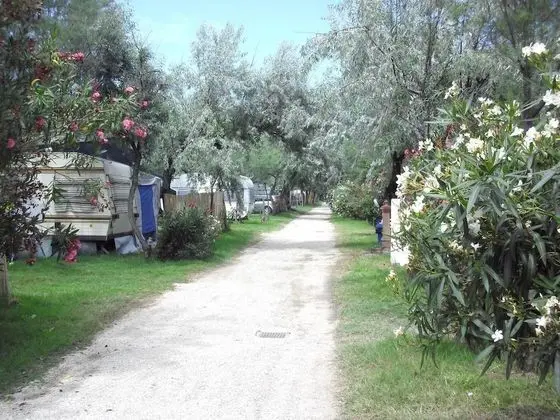 Maronda Camping - Dış Mekan
