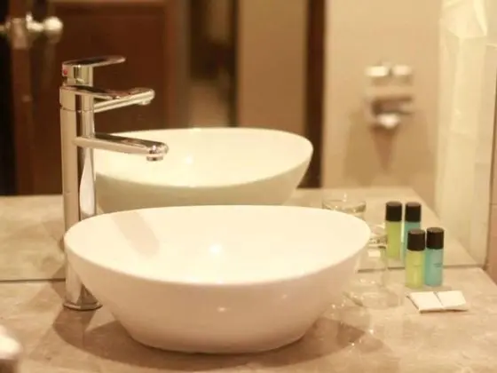 The Marque Hotel - Banyo Tipleri