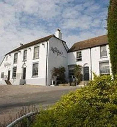 The Marquis
