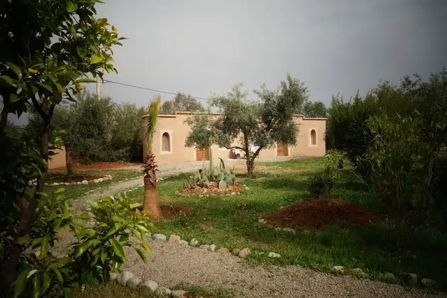 Marrakesh Organics - Dış Mekanlar
