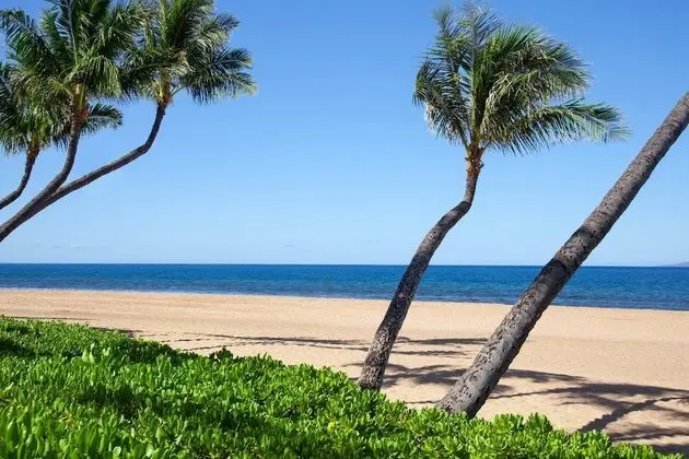 Marriott's Maui Ocean Club - Molokai, Maui & Lanai Towers - Plaj