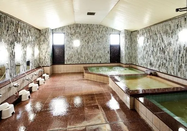Hotel Marroad Tsukuba - Spa