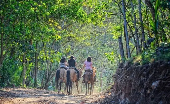 Martz Farm Treehouses & Cabanas - Dış Mekan