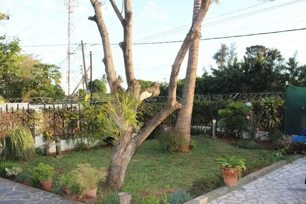 Marumadi - Planeta Mocambique