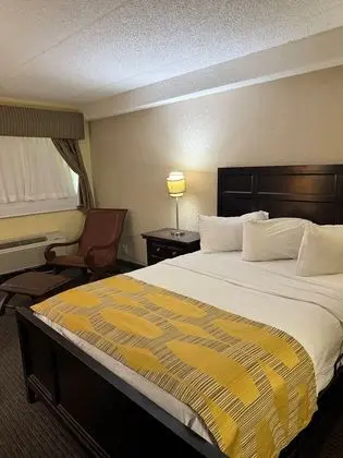 Marvin's Garden Inn - Öne Çıkan Resim